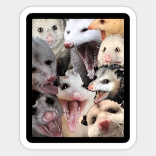 Possum collage Sticker